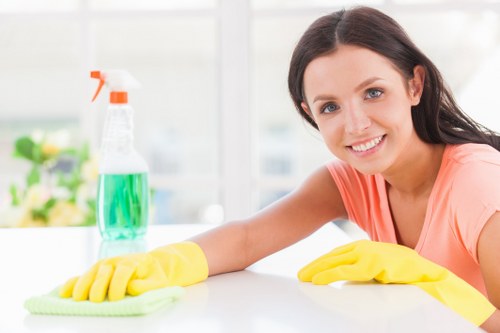 Carpet cleaning professional preparing equipment with safety checks