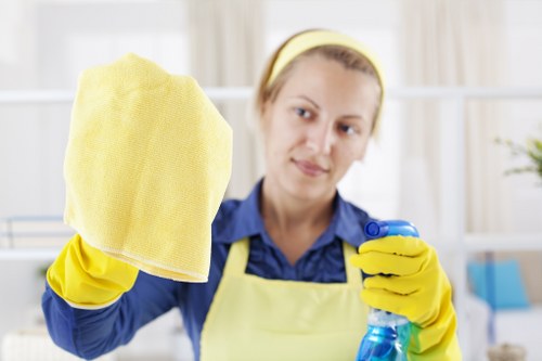 Regular house cleaning checklist for a Finsbury Park flat