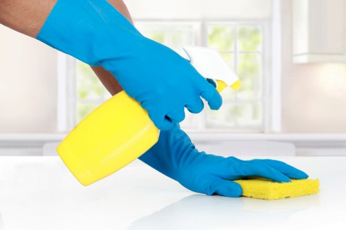 Carpet cleaning appointment and service documentation