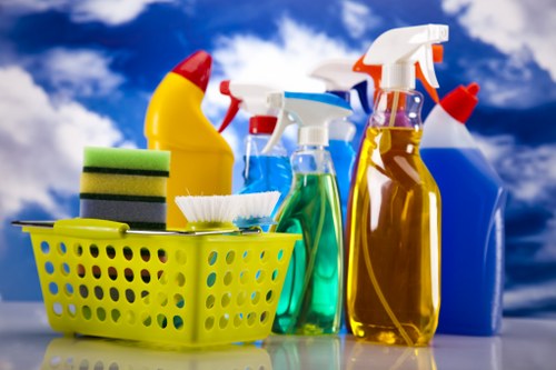 Professional carpet cleaner working in a Finsbury Park home