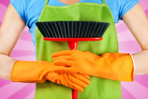 Domestic cleaners in Finsbury Park providing a spotless finish