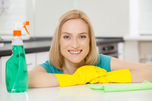 Steam carpet cleaning equipment used in a Finsbury Park property