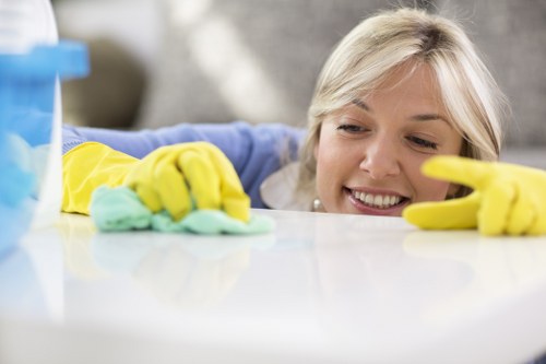 Move-out deep cleaning for a Finsbury Park property