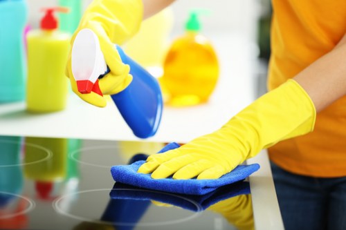 Cleaner restoring high-traffic carpet areas in Finsburypark home