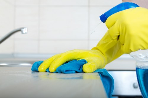 Upholstery stain removal service for a sofa in Finsburypark