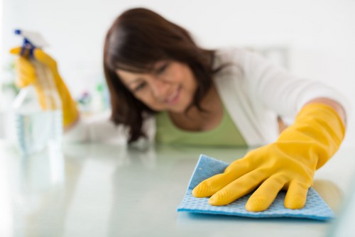 Stain removal treatment for a carpet in Finsbury Park