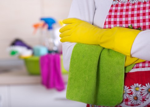 Professional carpet cleaners maintaining carpets in Finsbury Park properties