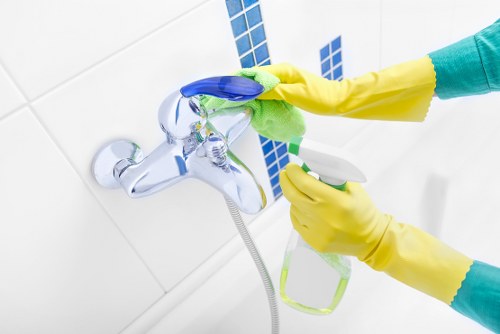 Professional carpet cleaning liability and care terms