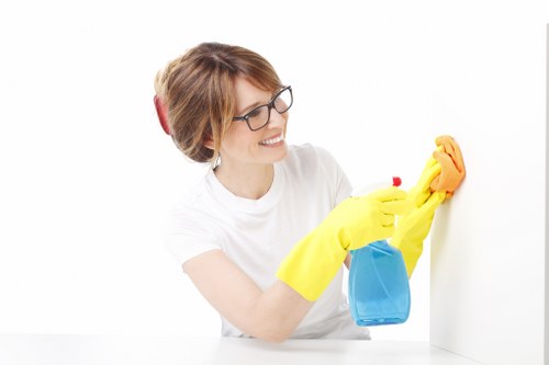 Cleaning methods for carpets and rugs