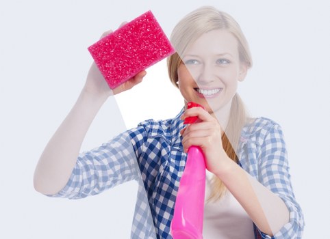 Professional carpet cleaning product and safety precautions in use